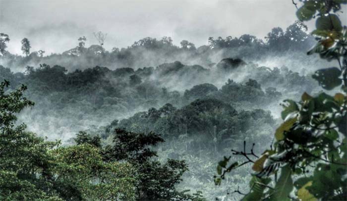 برترین عوامل تنوع زیستبومها چیست؟ 6 نکته علمی